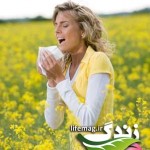 spring-allergies-298