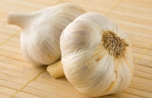 garlic_400-04628450c