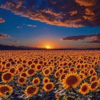 زندگی.. یعنی زنده گی !